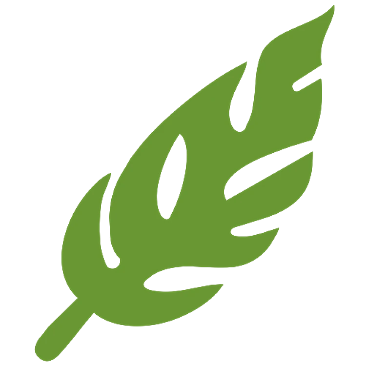 Tropical Leaf