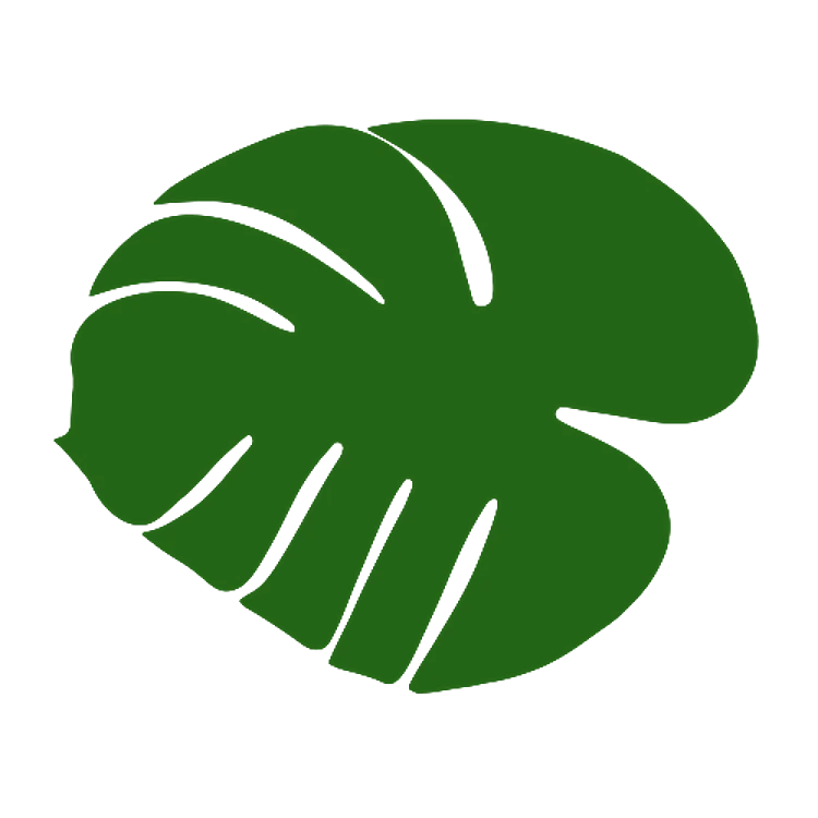 Cartoon Tropical Leaf