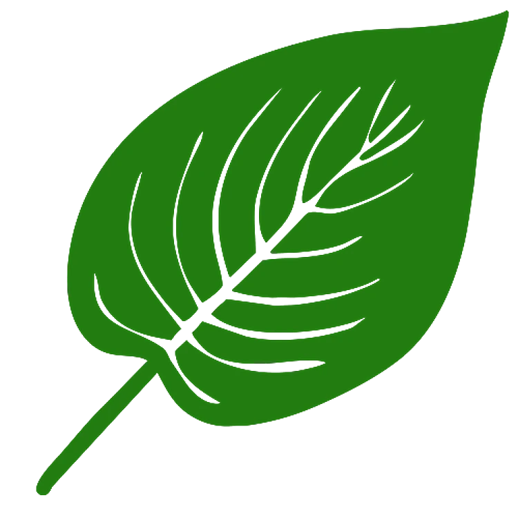 Tropical Palm