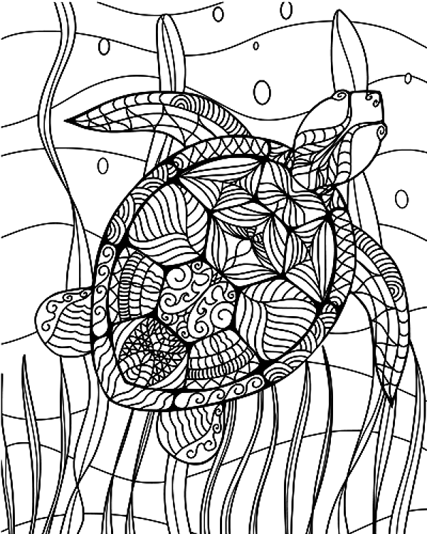 Decorative Turtle Outline