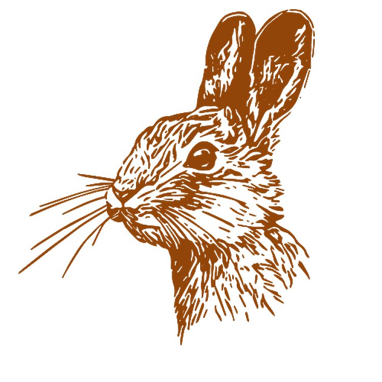 Realistic Rabbit