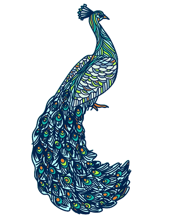 Peacock