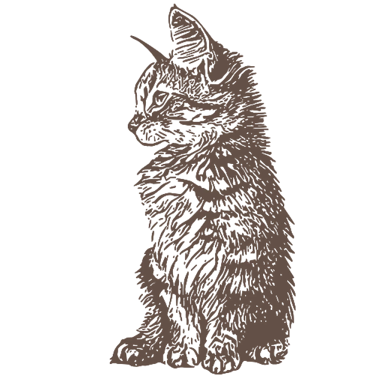 Realistic Cat