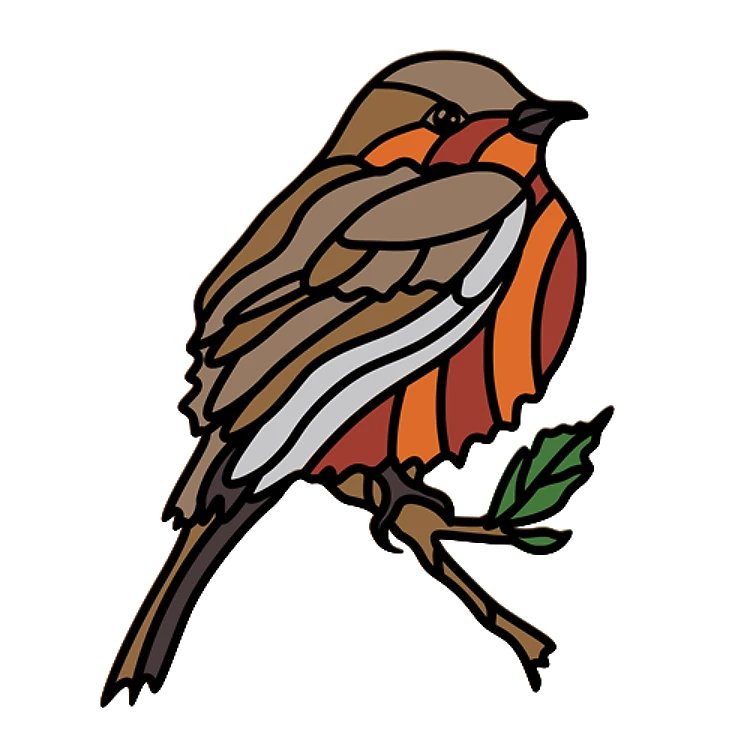 Robin Bird