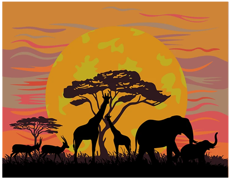 Safari Sunset