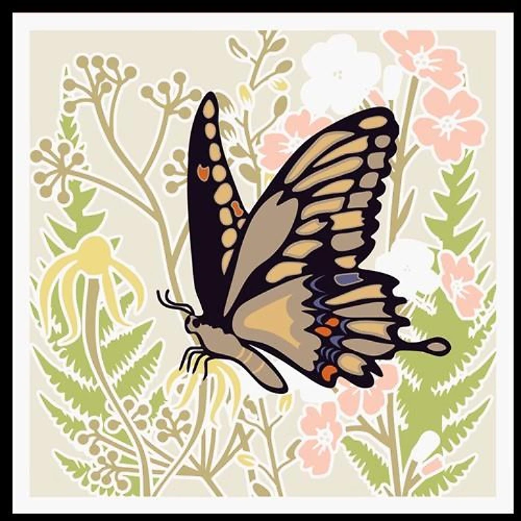 Butterfly Flowers