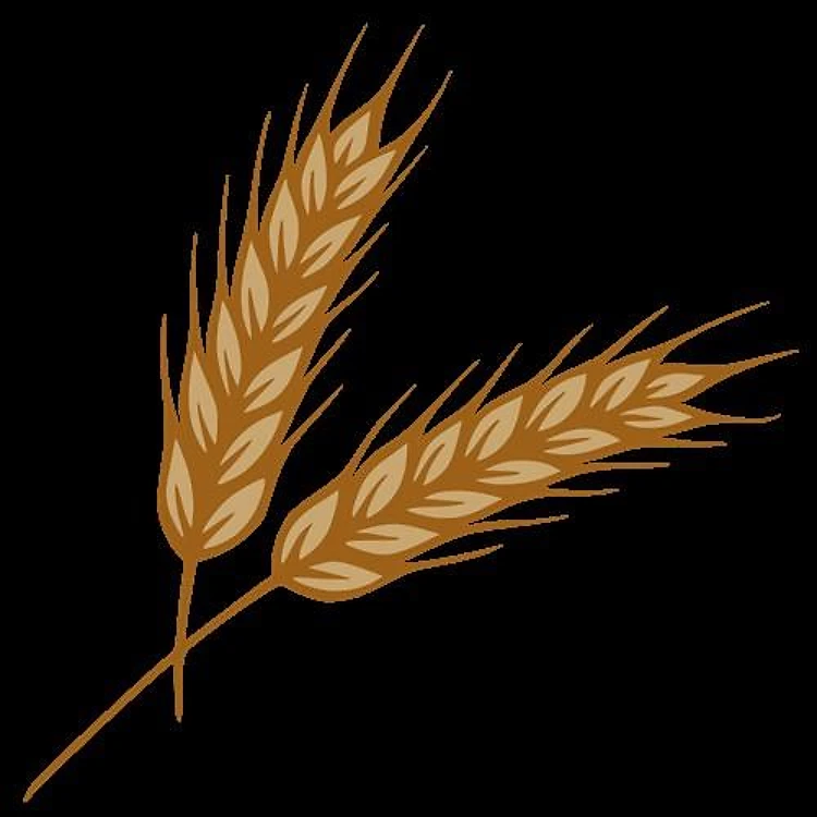 Wheat