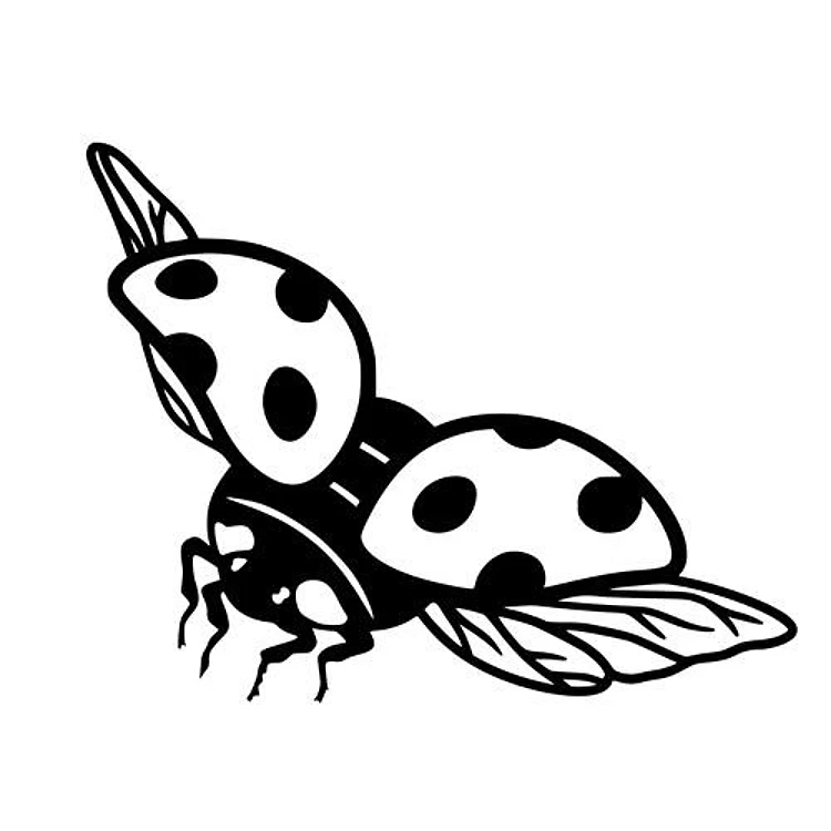flying ladybug