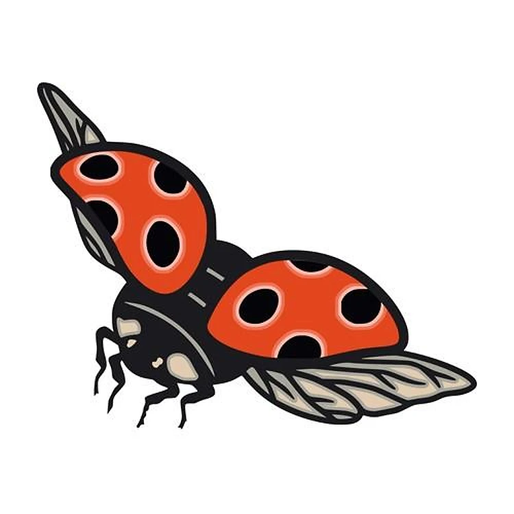 multilayered ladybug