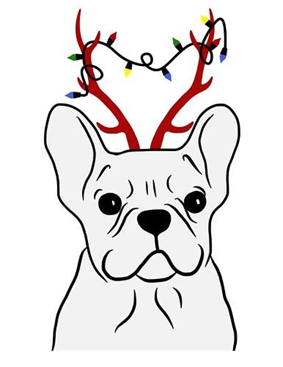 Christmas French Bulldog White