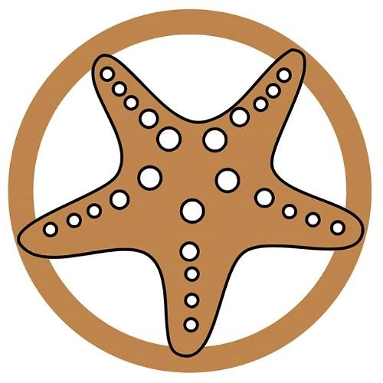 StarfishStacked Coaster