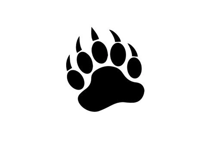 Bear Claw