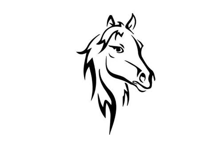 Horse Head