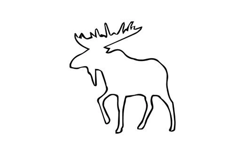 Moose Outline