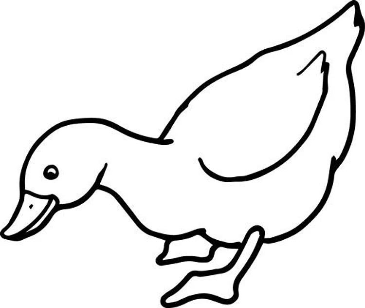 Goose Outline