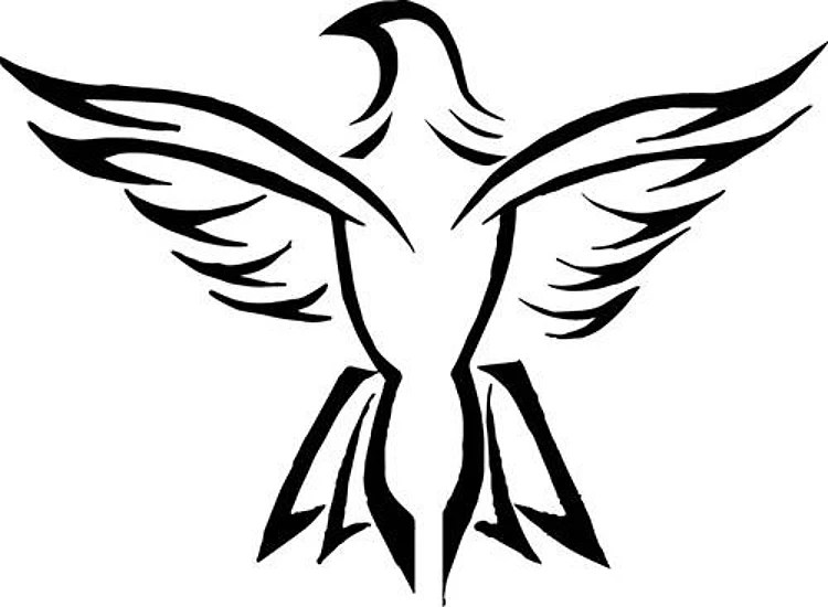 Eagle Outline