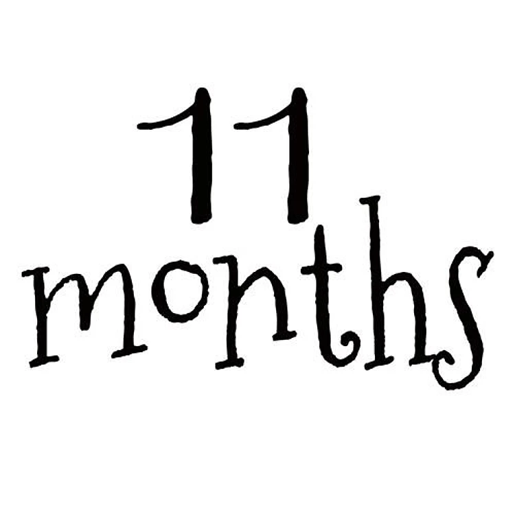 11 Months