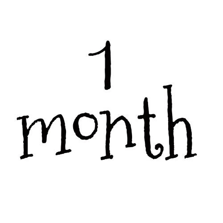 1 Month