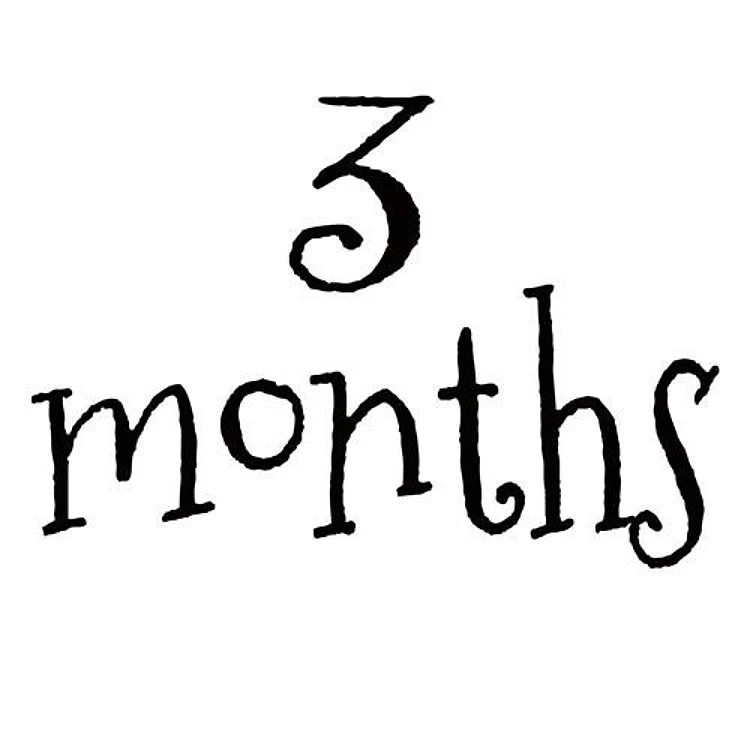 3 Months