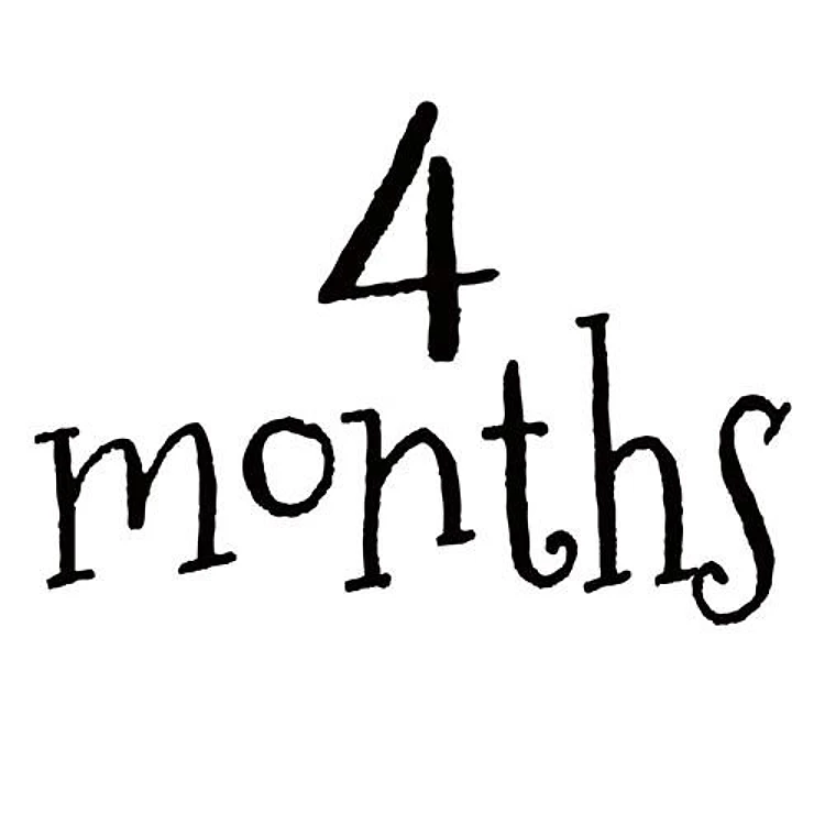 4 Months