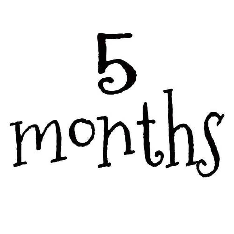5 Months