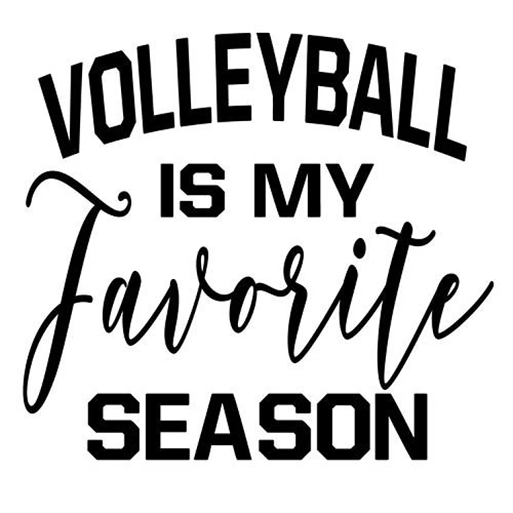 Volleyball Season