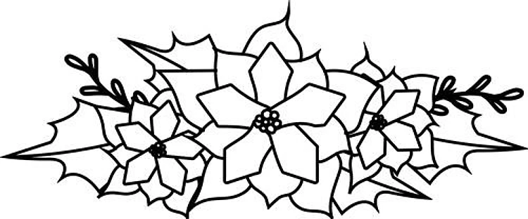 Christmas Poinsettia
