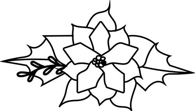 Christmas Poinsettia