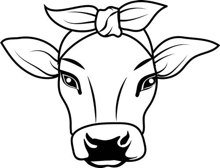 Cow Head