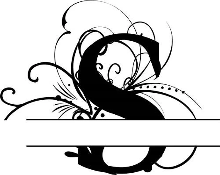 Elegant Split Letter S