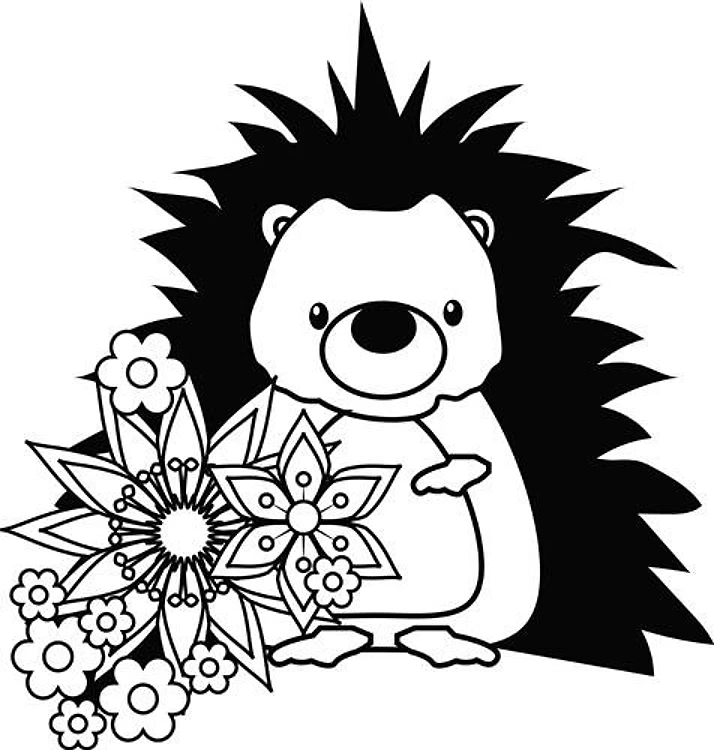 Floral Hedgehog