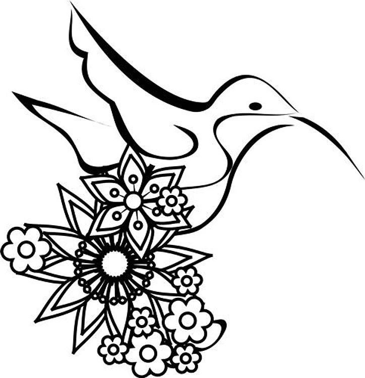 Hummingbird Outline & Flowers