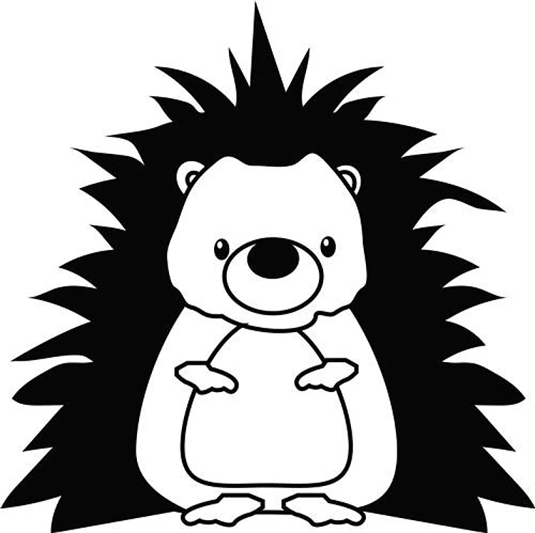 Hedgehog