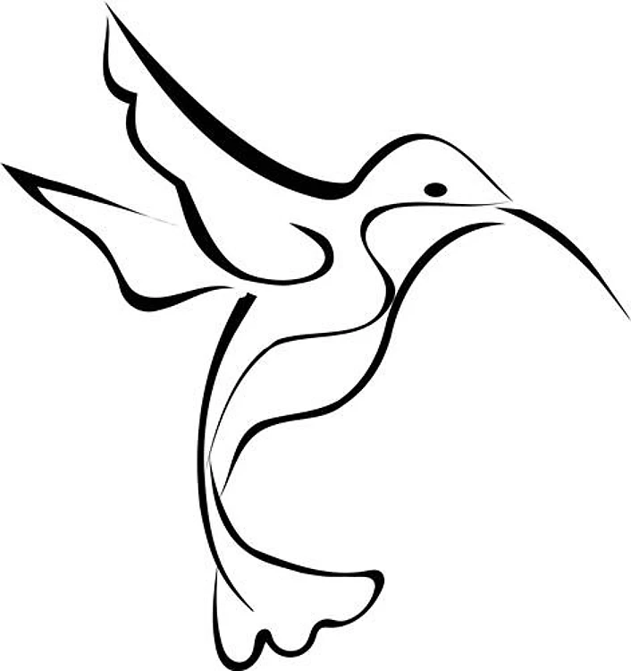 Hummingbird Outline