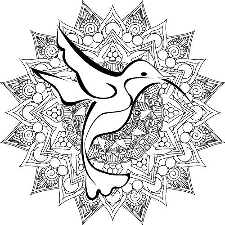 Hummingbird & Floral Mandala