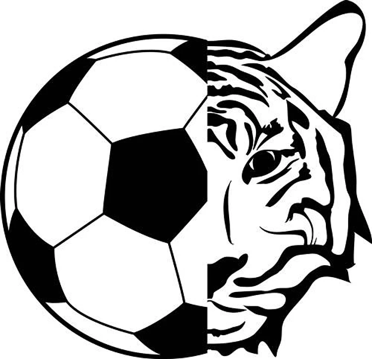 Soccer Ball & Tiger