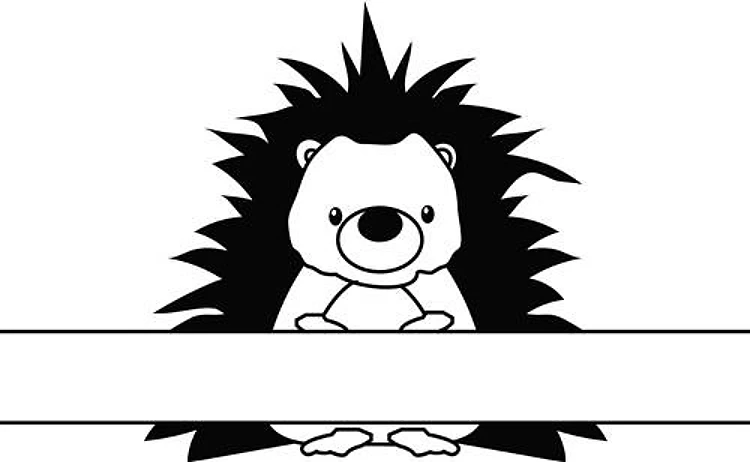 Name Drop Hedgehog