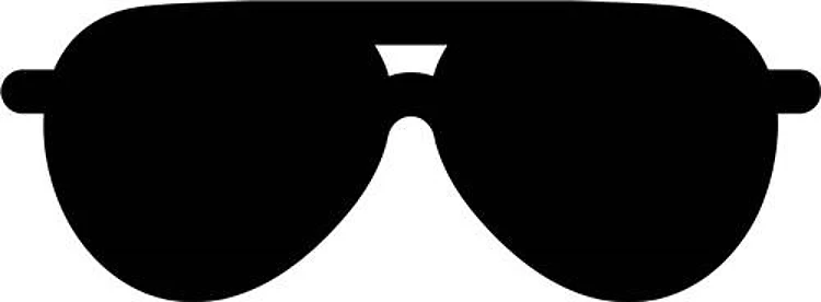 Police Sunglasses