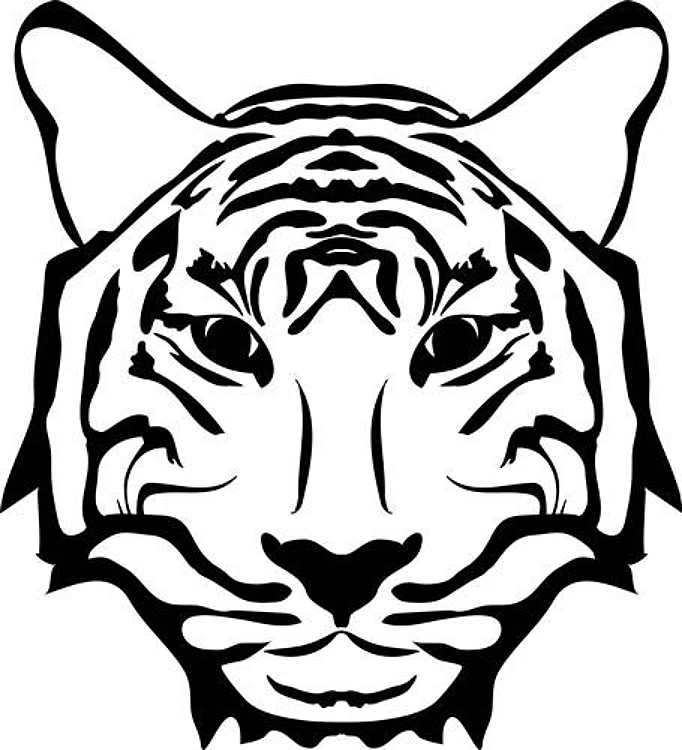 Tiger Face