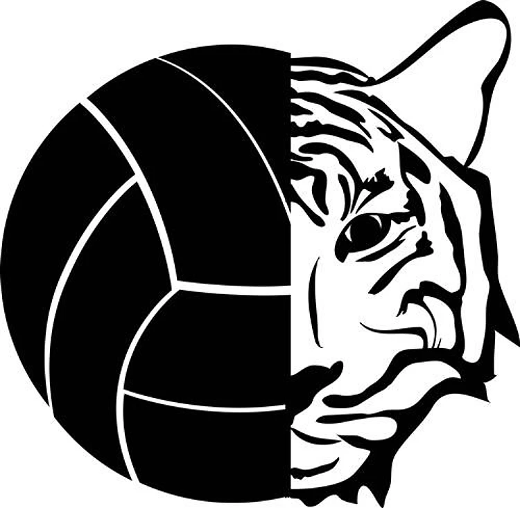 Volleyball & Tiger Mascot