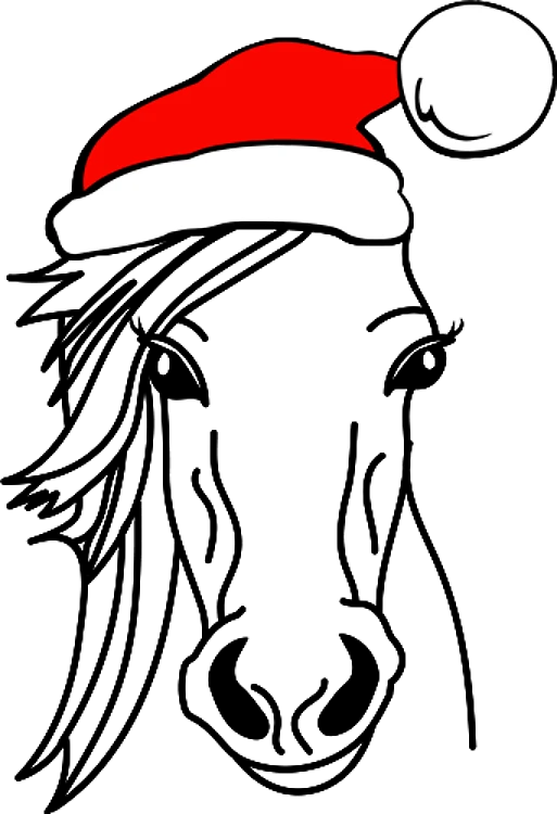 Horse With Christmas Hat
