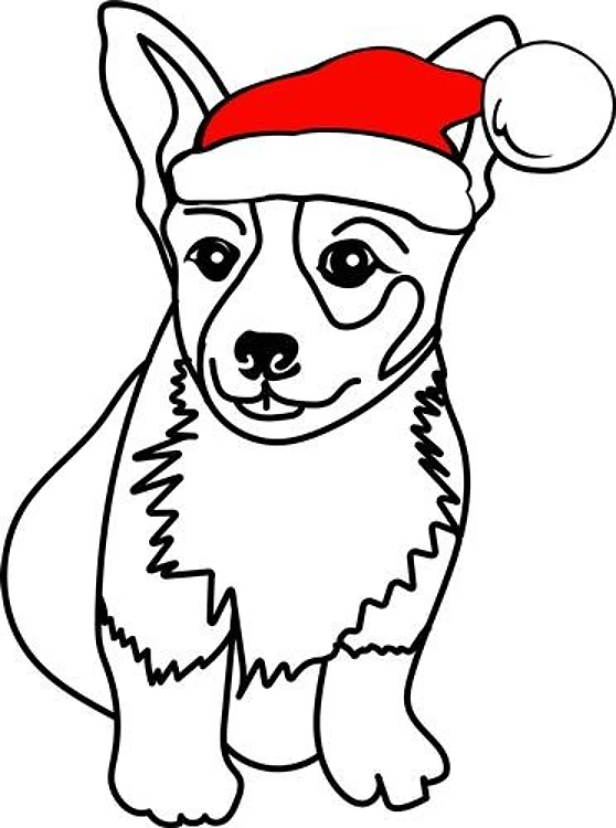 Christmas Corgi