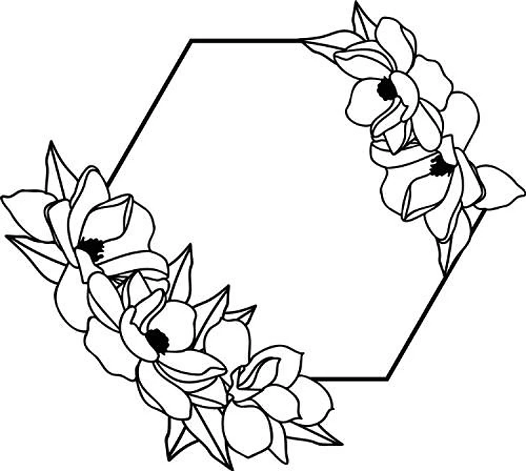 Hexagon Magnolias