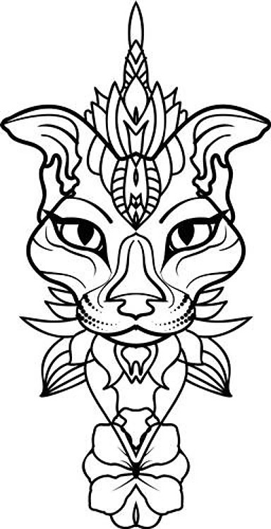Cat Head Outline