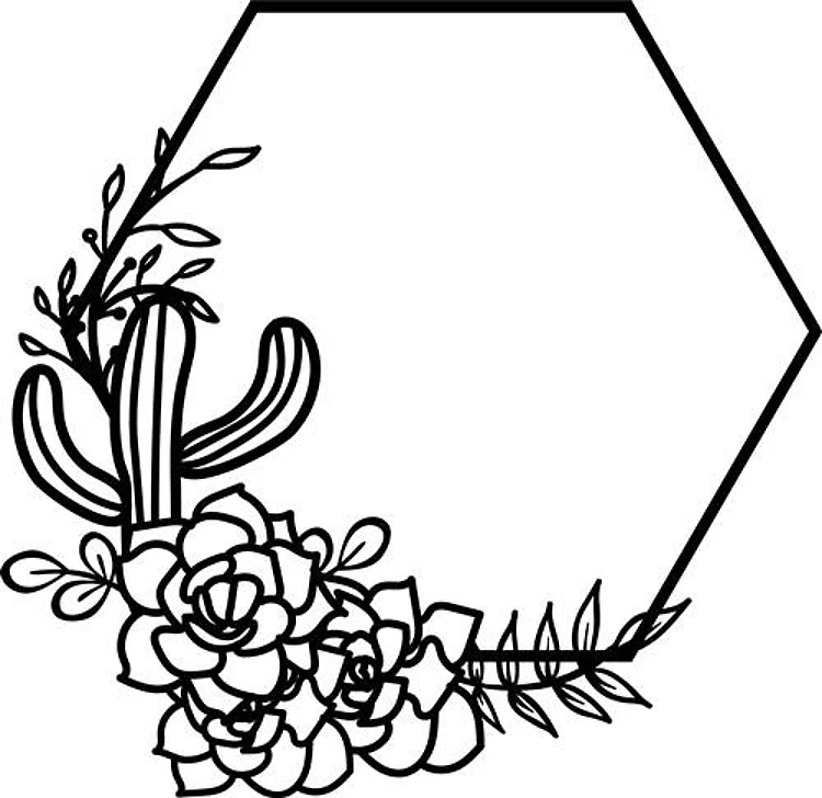 Hexagon Cactus Flowers