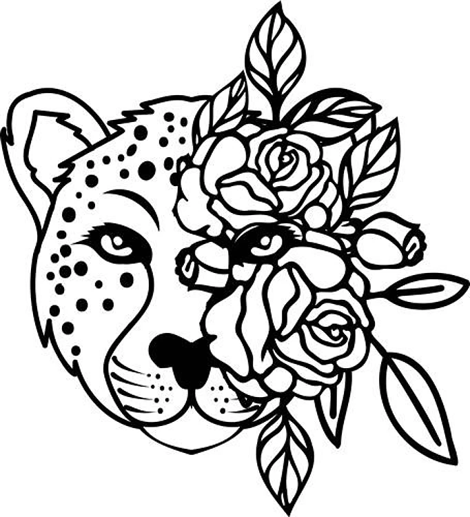 Leopard Flowers