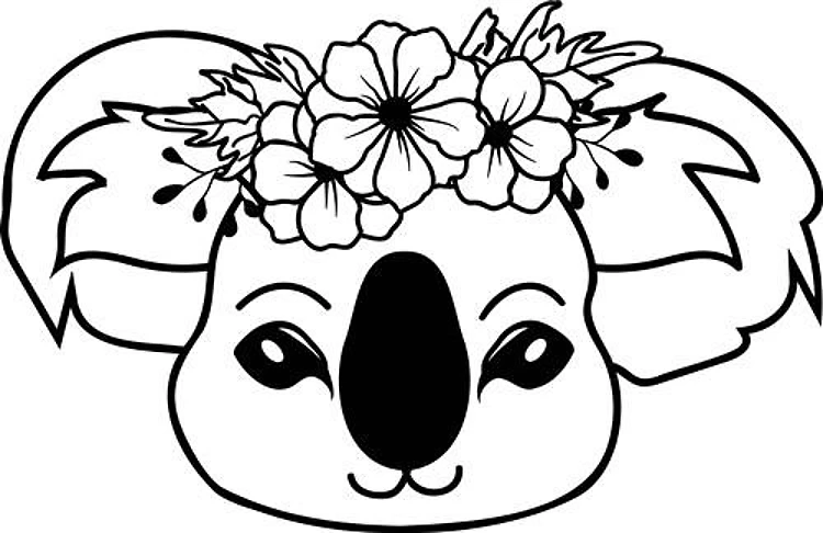 Koala Head