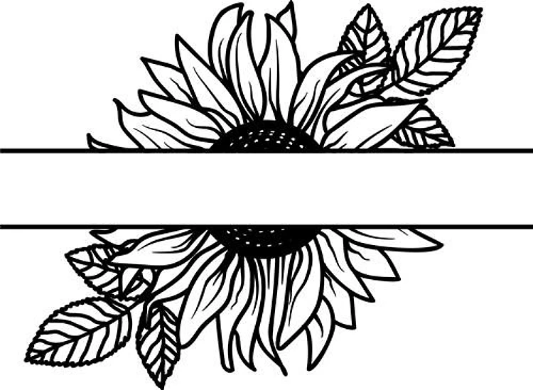 Namedrop Sunflower