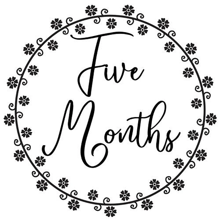 Baby Milestone 5 Months