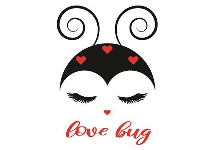 Love Bug
